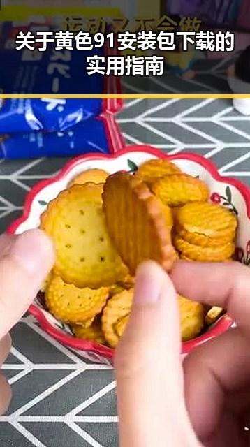 关于黄色91安装包下载的实用指南