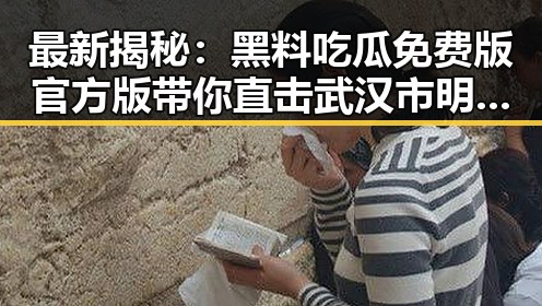 最新揭秘：黑料吃瓜免费版官方版带你直击武汉市明星动态