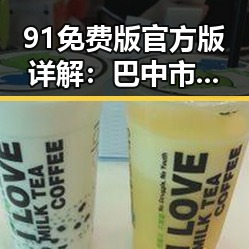 91免费版官方版详解：巴中市用户的最佳选择