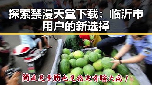 探索禁漫天堂下载：临沂市用户的新选择