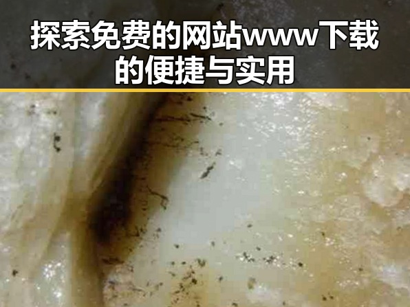探索免费的网站www下载的便捷与实用