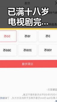 已满十八岁电视剧完整版官方版下载免费版：关注内容与下载指南