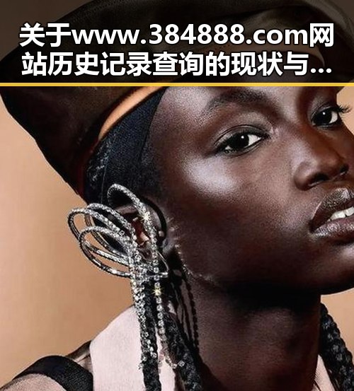 关于www.384888.com网站历史记录查询的现状与回溯