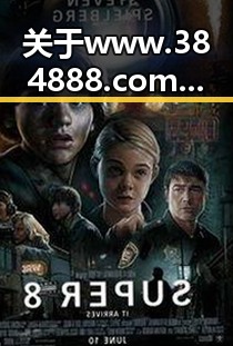 关于www.384888.com网站历史记录查询的现状与回溯