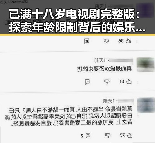 已满十八岁电视剧完整版：探索年龄限制背后的娱乐现象