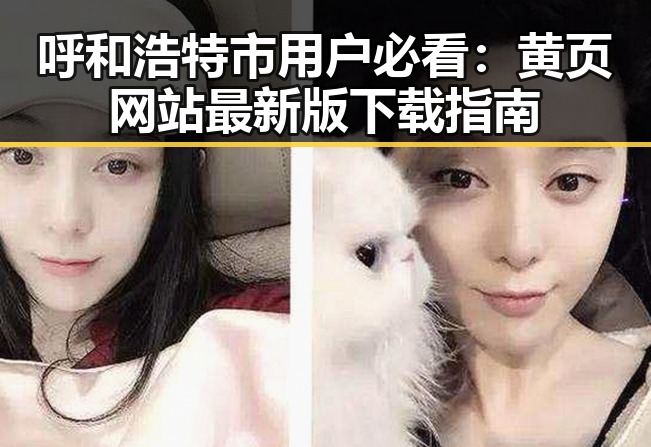 呼和浩特市用户必看：黄页网站最新版下载指南