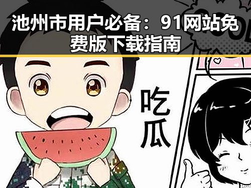 池州市用户必备：91网站免费版下载指南
