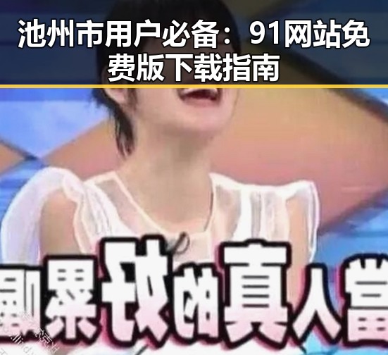 池州市用户必备：91网站免费版下载指南