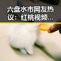 六盘水市网友热议：红桃视频官方版免费版成为娱乐新宠