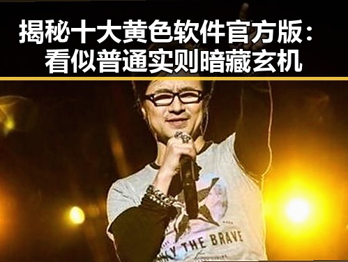 揭秘十大黄色软件官方版：看似普通实则暗藏玄机