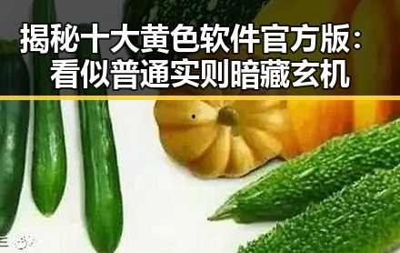 揭秘十大黄色软件官方版：看似普通实则暗藏玄机