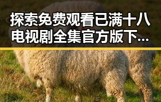 探索 免费观看已满十八电视剧全集官方版下载的最新途径