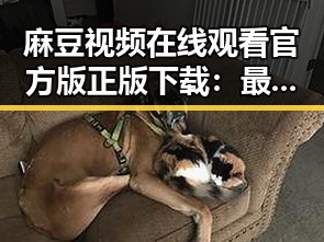 麻豆视频在线观看官方版正版下载：最新资源指南