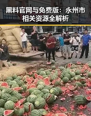 黑料 官网与免费版：永州市相关资源全解析