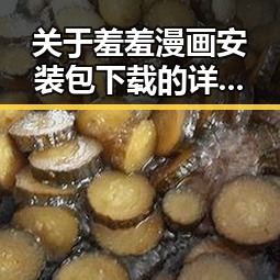 关于羞羞漫画安装包下载的详细指南