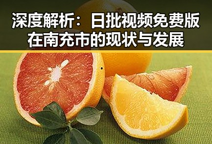 深度解析：日批视频免费版在南充市的现状与发展