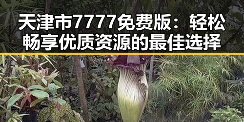 天津市7777免费版：轻松畅享优质资源的最佳选择