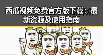 西瓜视频免费官方版下载：最新资源及使用指南