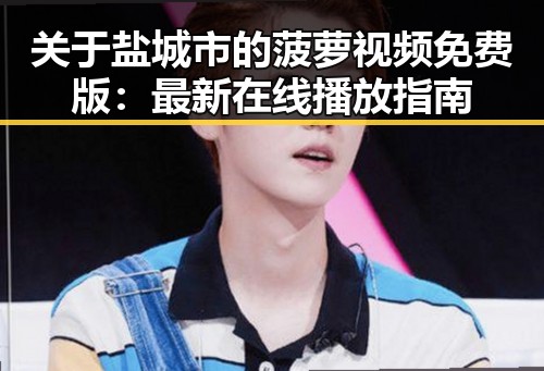 关于盐城市的菠萝视频免费版：最新在线播放指南