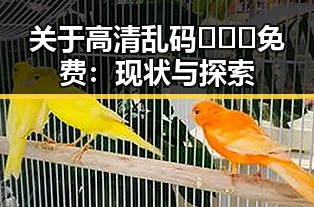 关于高清乱码🔞❌♋免费：现状与探索