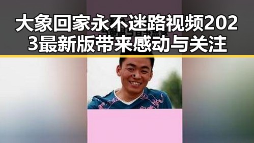 大象回家永不迷路视频2023最新版带来感动与关注