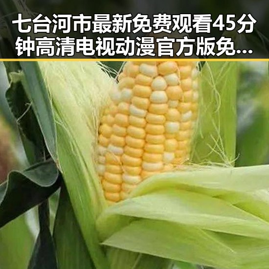 七台河市最新免费观看45分钟高清电视动漫官方版免费版指南