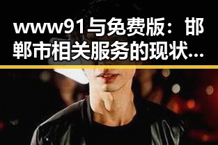 www91与免费版：邯郸市相关服务的现状与对比