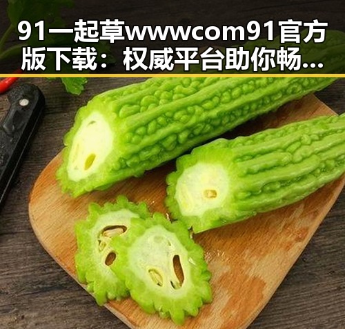 91 一起草wwwcom91官方版下载：权威平台助你畅享全新体验