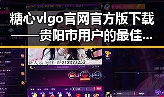 糖心vlgo官网官方版下载——贵阳市用户的最佳选择