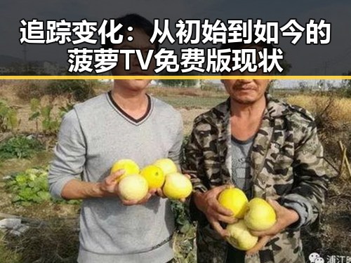 追踪变化：从初始到如今的菠萝TV免费版现状