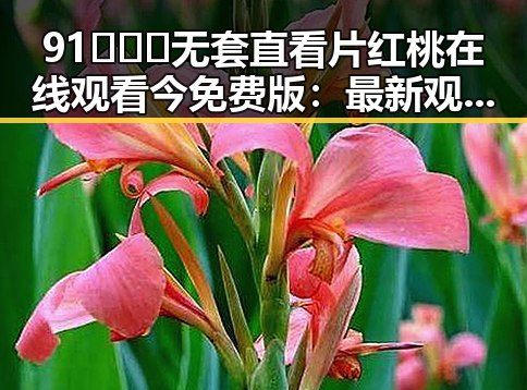 91❌❌❌无套直看片红桃在线观看今免费版：最新观看指南