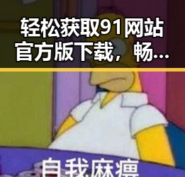 轻松获取91网站官方版下载，畅享优质资源