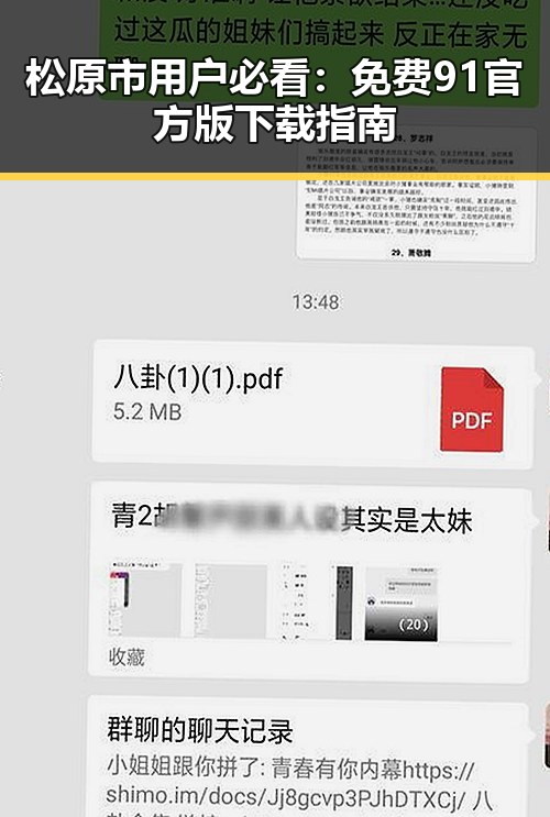 松原市用户必看：免费91官方版下载指南