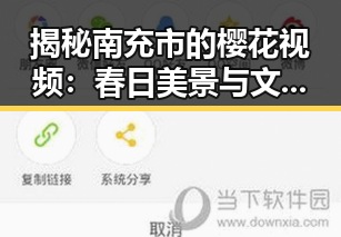 揭秘南充市的樱花视频：春日美景与文化交融的视觉盛宴