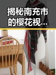 揭秘南充市的樱花视频:春日美景与文化交融的视觉盛宴