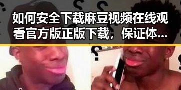 如何安全下载麻豆视频在线观看官方版正版下载，保证体验与版权双重保障