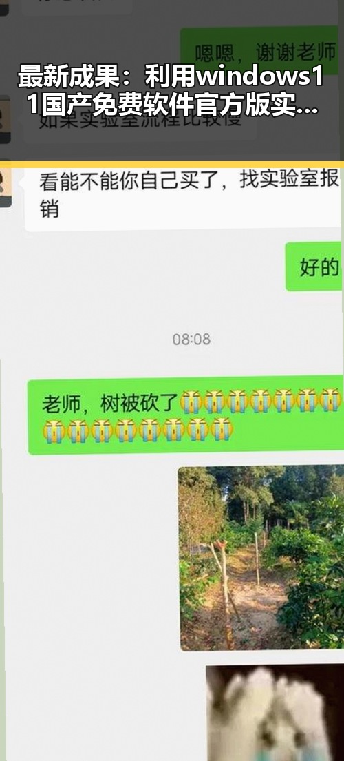 最新成果:利用windows11国产免费软件官方版实现高效办公