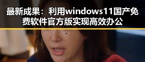 最新成果:利用windows11国产免费软件官方版实现高效办公