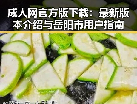 成人网官方版下载:最新版本介绍与岳阳市用户指南