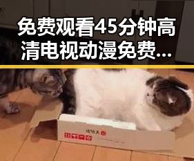 免费观看45分钟高清电视动漫免费版：威海市最新资源解析