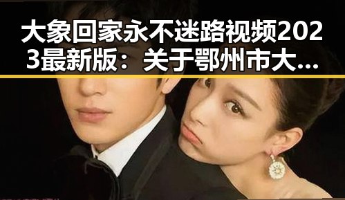 大象回家永不迷路视频2023最新版：关于鄂州市大象回家的最新动态