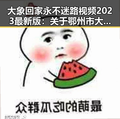 大象回家永不迷路视频2023最新版：关于鄂州市大象回家的最新动态
