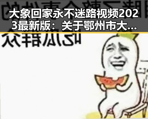 大象回家永不迷路视频2023最新版：关于鄂州市大象回家的最新动态
