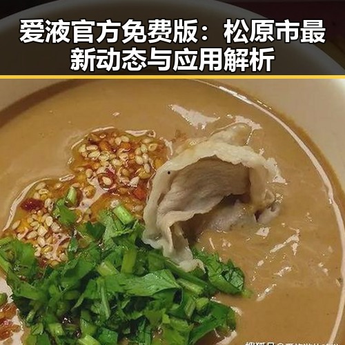 爱液官方免费版:松原市最新动态与应用解析