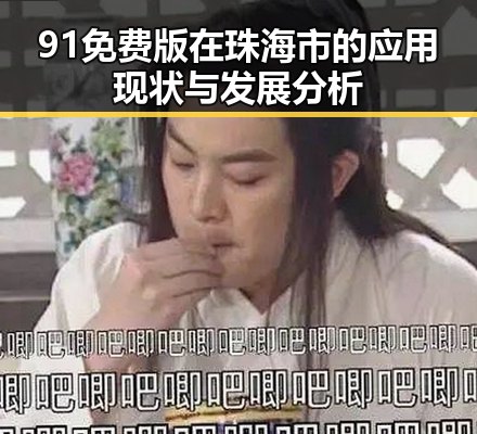 91免费版在珠海市的应用现状与发展分析