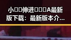 小🐔🐔伸进🈲🔞🔞A最新版下载：最新版本介绍与下载指南