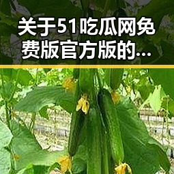 关于51吃瓜网免费版官方版的详细介绍