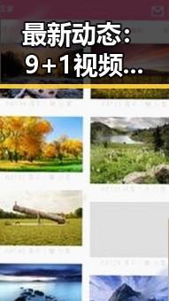 最新动态：9+1视频免费官方版在温州市逐渐普及中