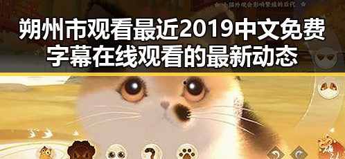 朔州市观看最近2019中文免费字幕在线观看的最新动态