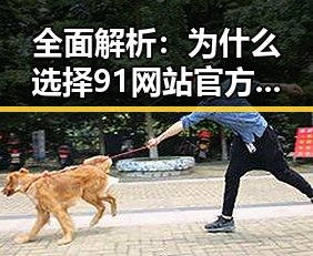 全面解析：为什么选择91网站官方版下载免费版？